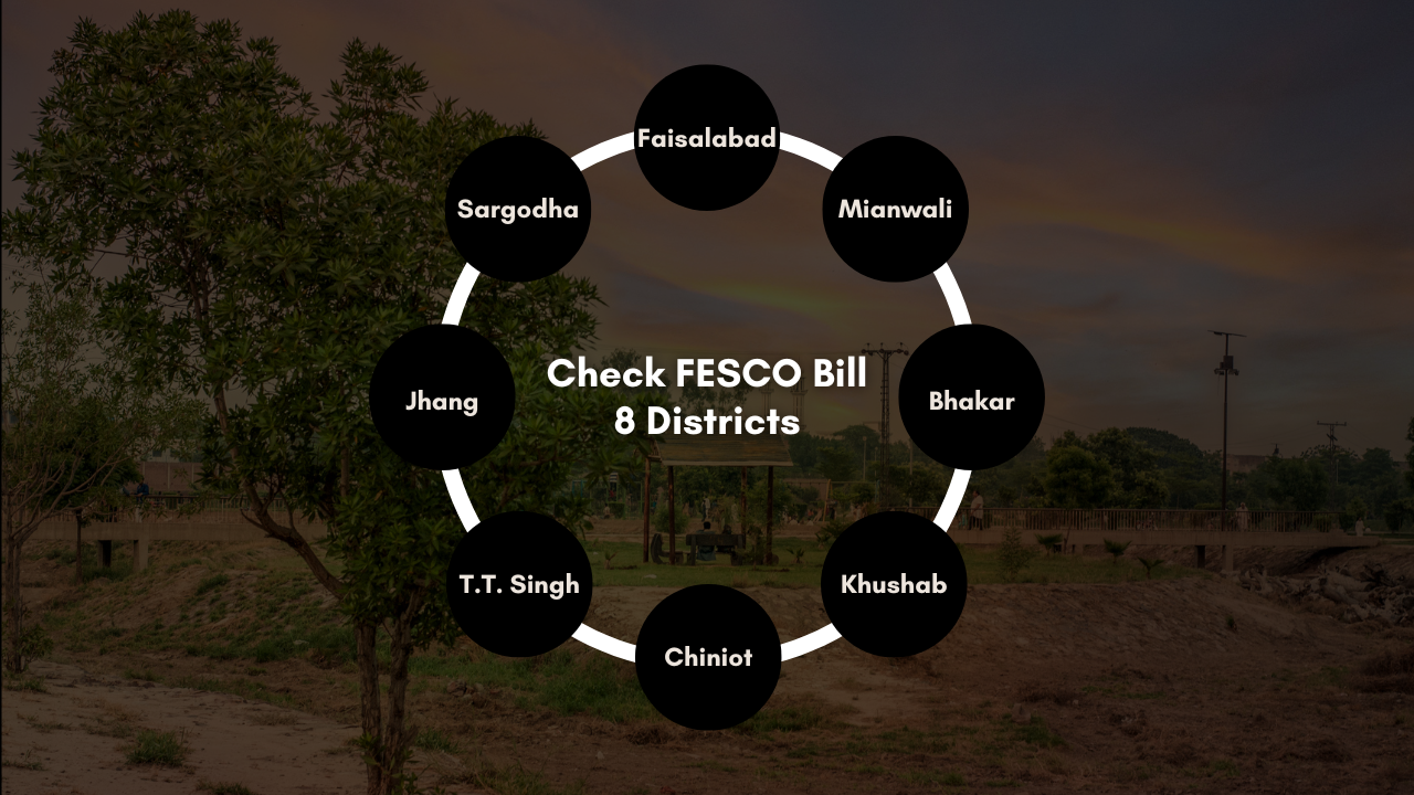 Check FESCO Bill